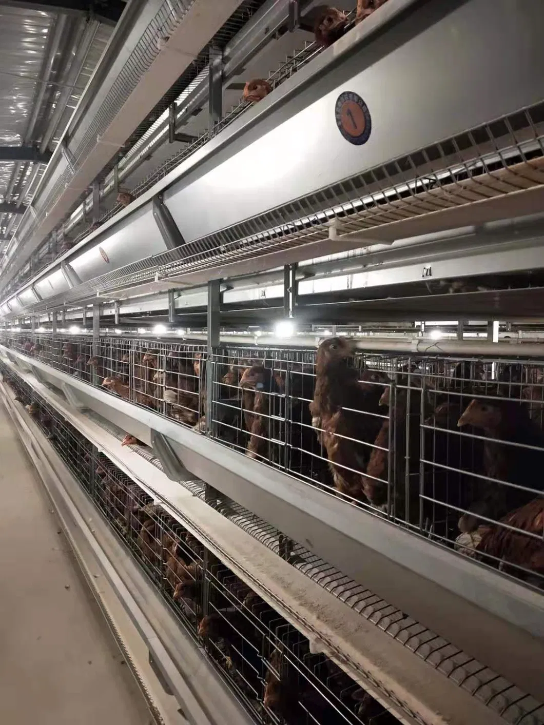 Durable Fully Autoamtic Multi Tiers H Type Layer Chicken Cages for Laying Hot Galvanized Wiremeshes