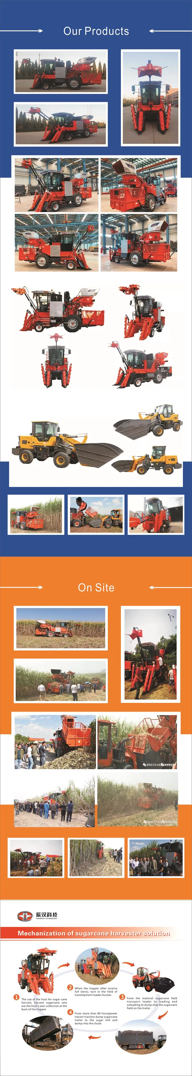 Matchet, Cane Stalk Cutting Machine, Cane Stalk Cutter, Cutter for Cane Stalk